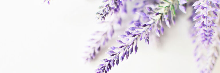 Can Aromatherapy Help You Sleep?