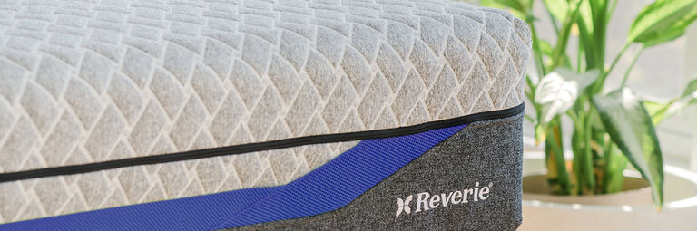 Is a Latex Mattress Right For You? 